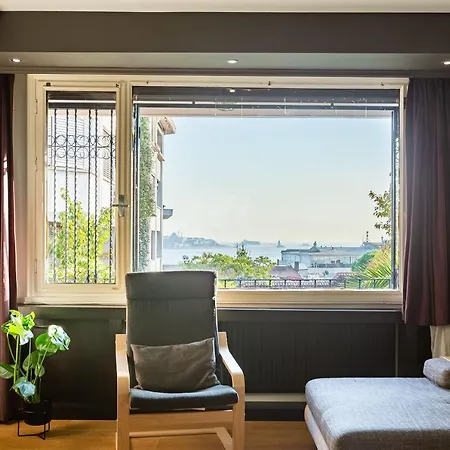 Elegant Flat With Fascinating Bosphorus View In Besiktas Apartment